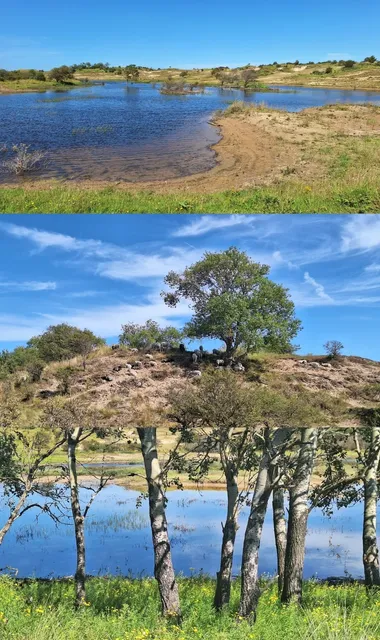 🇳🇱 Biking Through Dutch Wilderness: Zuid-Kennemerland National Park