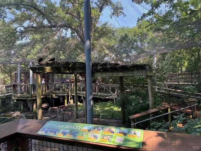 🦆 Hey geese, we’re swimming into midsummer! 🌷