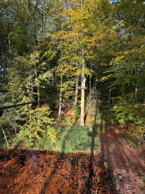 Fun Forest Almere: Dare to Take the Challenge! 🌳🧗‍♀️