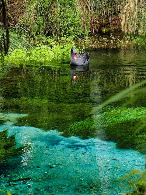 Discover a Hidden Gem Even More Stunning Than Blue Spring! 