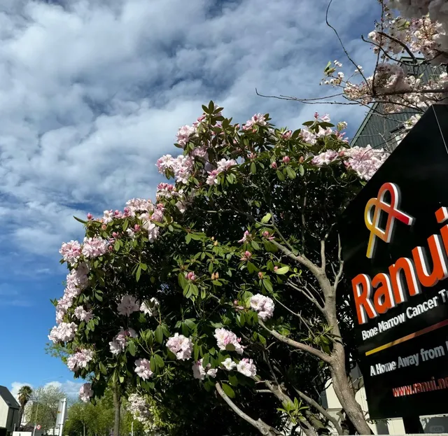 New Zealand | 10-Day South Island Leisurely Itinerary ✈️🏔️