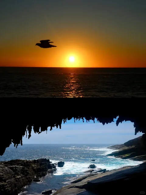 🇦🇺 Ultimate Adelaide Day Trip Guide: Nature, Food & Stunning Views!