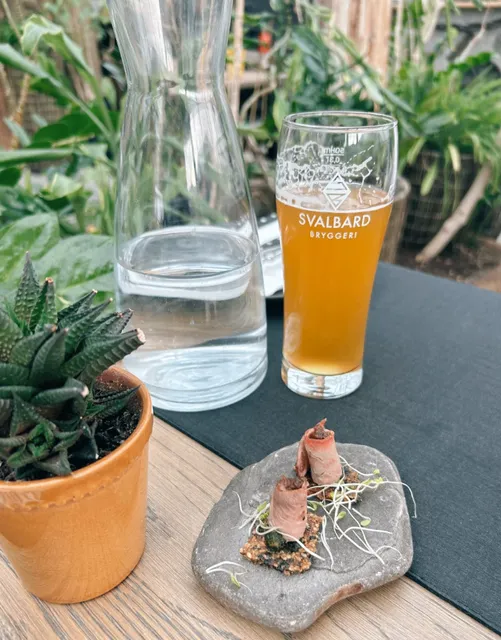 Arctic Dining | The Must-Try Restaurant in Svalbard 🏔️✨