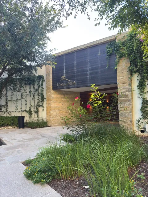 Such a Beautiful Hotel! 🌴✨