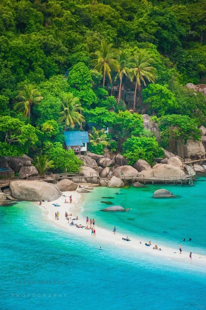 Koh Samui’s Ultimate Snorkeling Spots + Famous Sandbar 🏖️💯