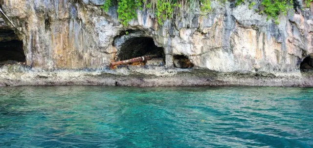 🌊 An Unforgettable Diving Trip in Palau!! 🌊