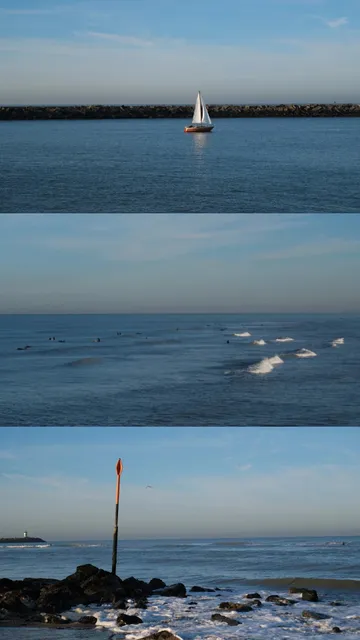 🇳🇱 The Hague Half-Day Adventure