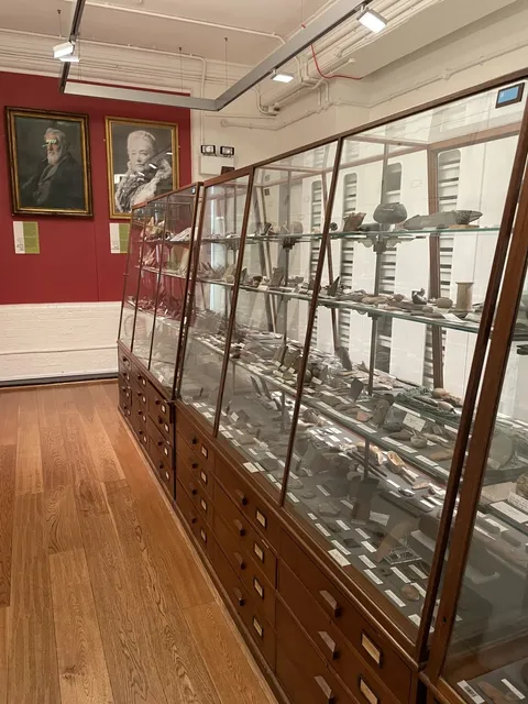 A Paradise for Egyptology Enthusiasts in London - Petrie Museum 🏺🦋