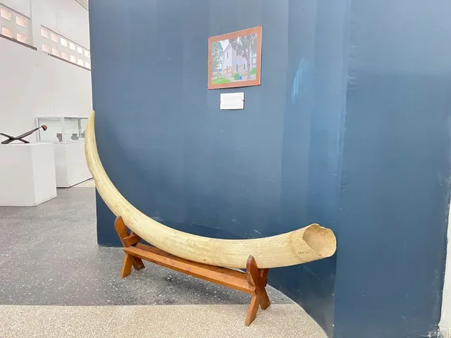 A Sunset City Walk in Dar es Salaam 🌇