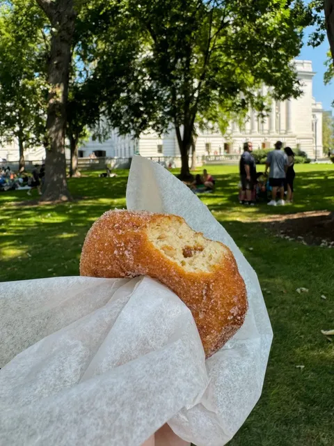 My Madison Travel Journal .📖✨