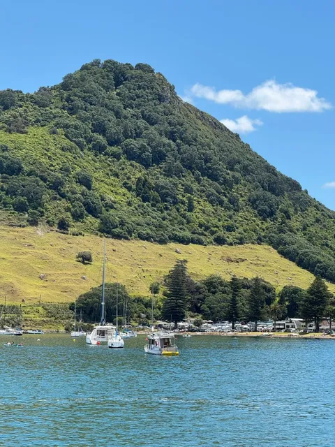 🇳🇿 My Favorite Place in New Zealand - Tauranga, Bay of Plenty