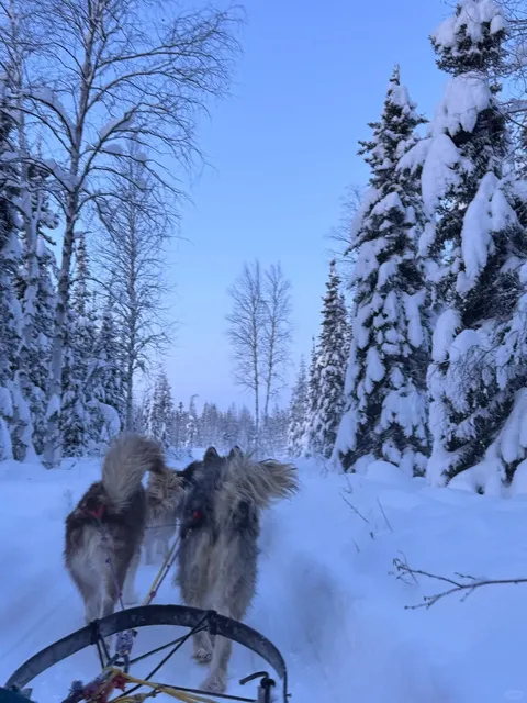 4 Days & 3 Nights in Fairbanks, Alaska 