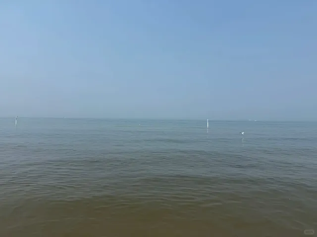 ​​Family Road Trip from Chicago: Oval Beach, Saugatuck 🚗👶​​