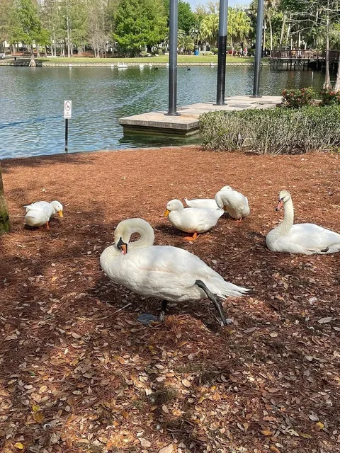 How to Spend 3 Days in Orlando