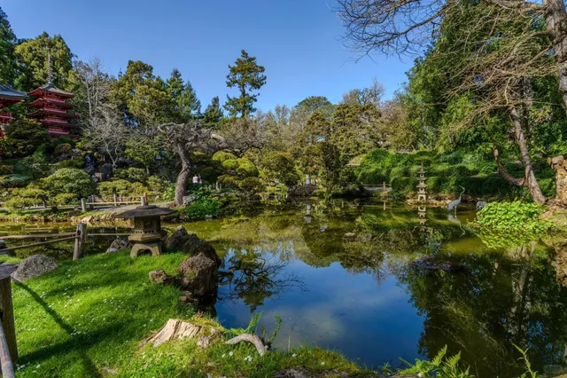 San Francisco · Japanese Tea Garden: A Serene Escape 🌿🍵