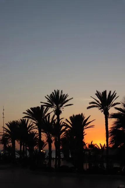 🇲🇦 Morocco｜Agadir Travel Guide 🌊✨