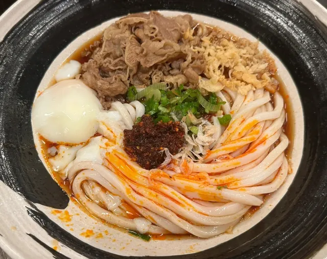 Boston Solo Eats Vol.5 | Yume Ga Arukara Udon 🍜  