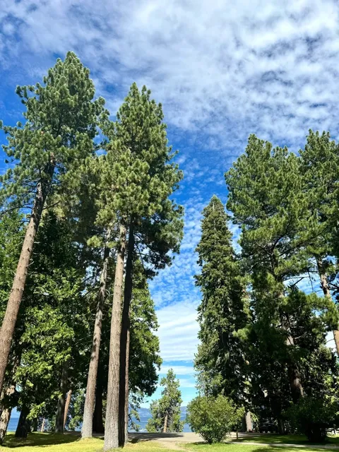Lake Tahoe Weekend Getaway 🏔️💦