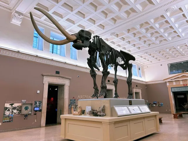 Exhibition Visit | Buffalo Museum of Science 🏢