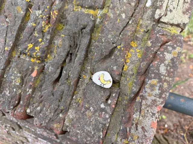 🇳🇱 Leiden’s AUTHENTIC Luosifen (Snail Noodles) – A Taste of Home! 