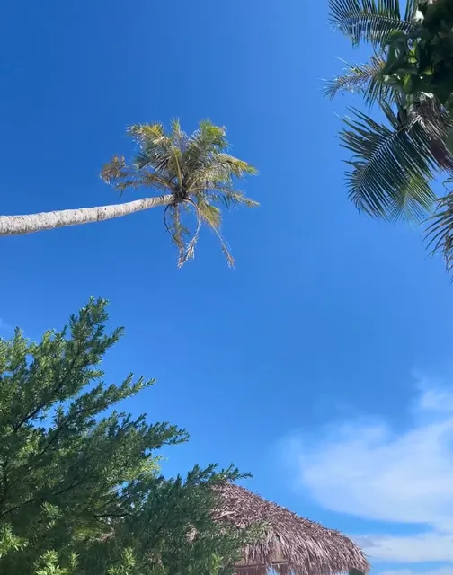 Hotel + Food Guide: Honeymooners, These Two Hotels Are a Must! 💒