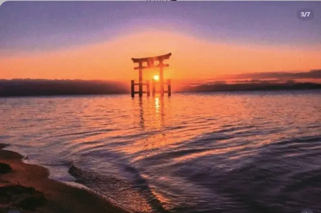 🌸🌺 Traveling in Japan 🌿🍃