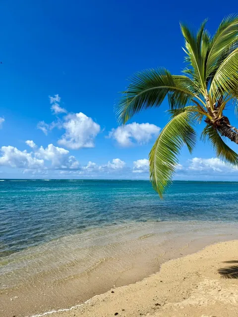 Big Island, Hawaii: 6-Day Ultimate Itinerary