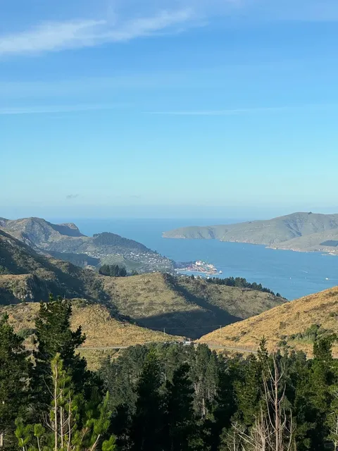 🇳🇿 Christchurch | FREE Gondola Ride = Ultimate Fun! 🚠