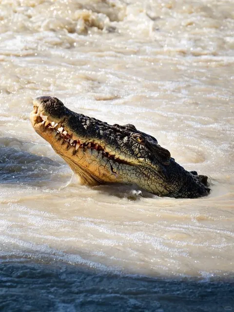 🇦🇺 4-Day Prehistoric Adventure | Darwin In-Depth Guide 🐊