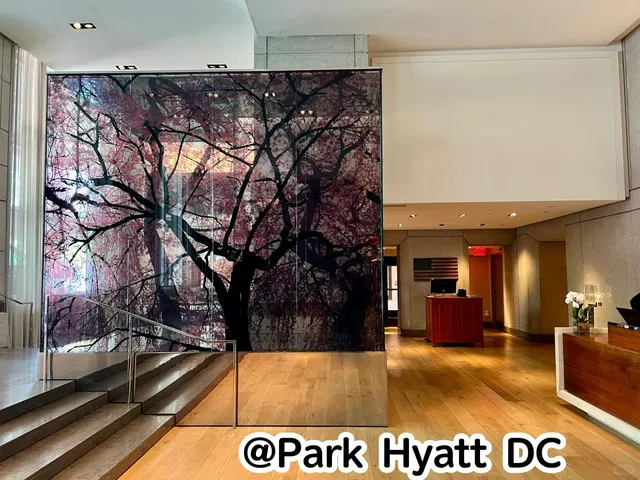 Washington D.C. Park Hyatt – Globalist Suite Experience 🌸✨