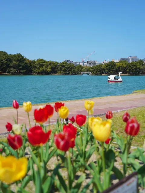 I wish I had more than 9 hours(2)