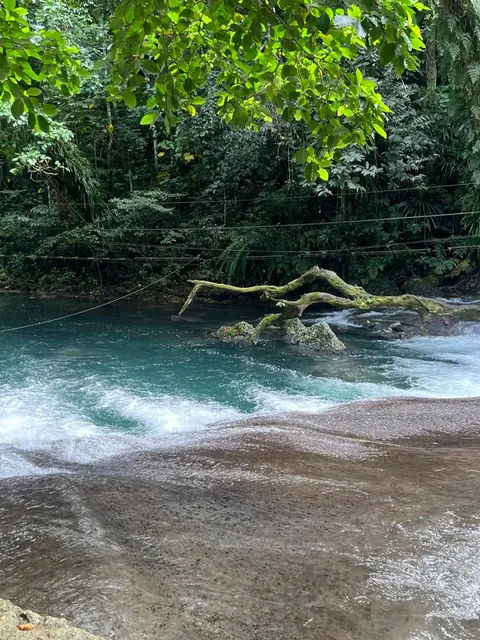 🇻🇺 Port Vila Island Road Trip Guide 🚗💨