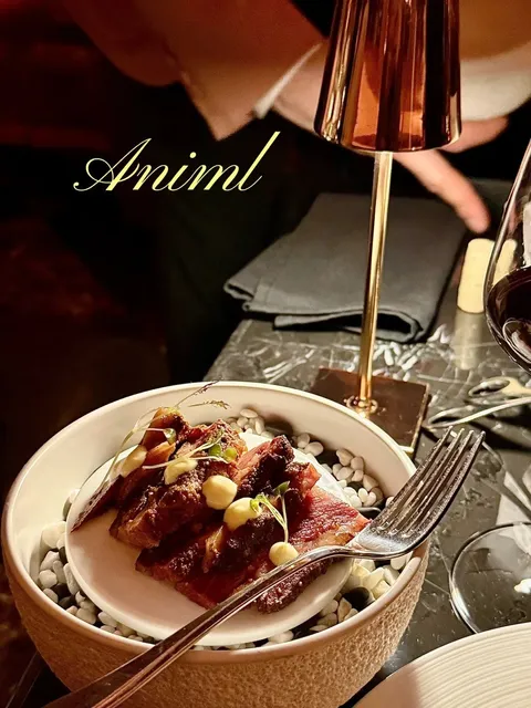 World Premiere Review! Toronto's #1 Ribeye Steakhouse Revealed!  🥩🔥