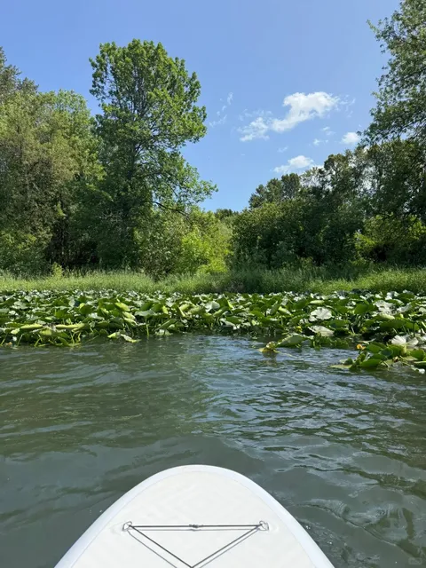 ​​Lake Sammamish State Park | Summer's Wildest Playground 🏞️🌊​​
