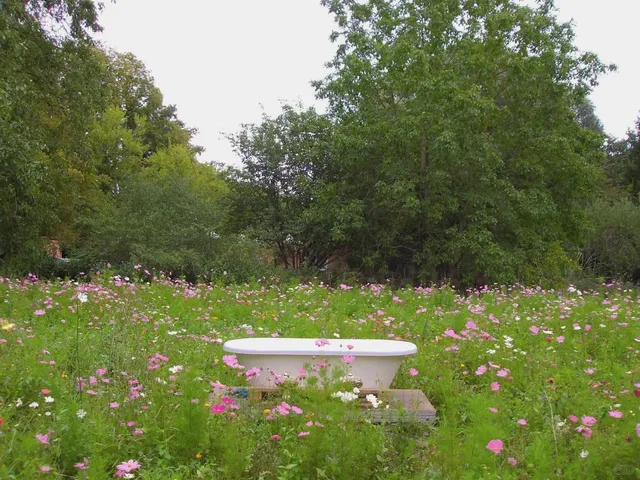 💛 Paris Yellow Mill ⁉️