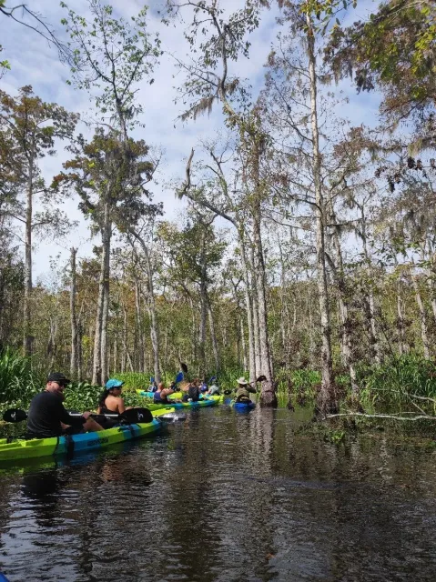 Absolutely Wonderful—Worth Every Penny! 🌿🛶