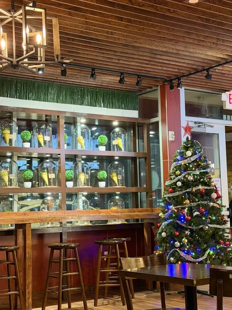 Canned Foodie's New Haven Side Quest 🥫✨