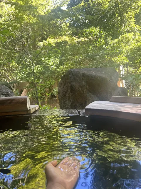 Izu Onsen Hotel with Private Bath | Seiryuso 