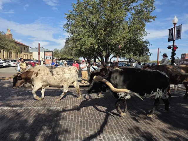 Fort Worth Stockyards Day Trip: A True Taste of Texas! 🤠🐂