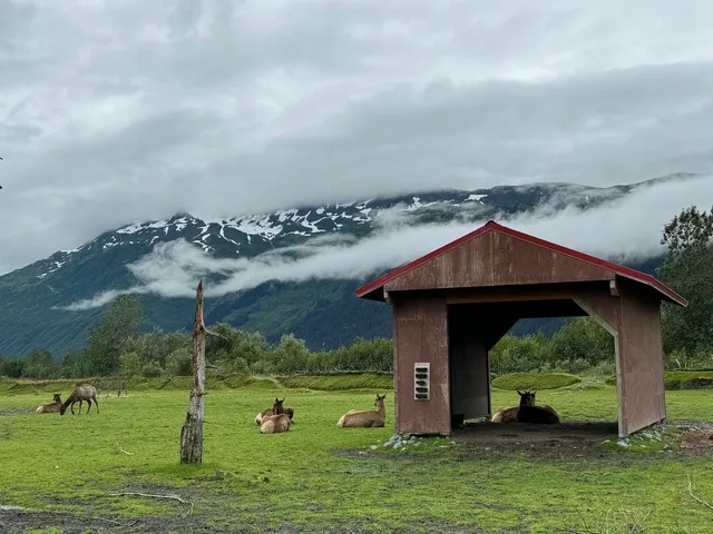 Alaska Summer 8-Day Self-Drive