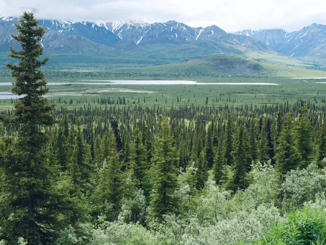 Your Ultimate Guide to Midnight Sun Adventu