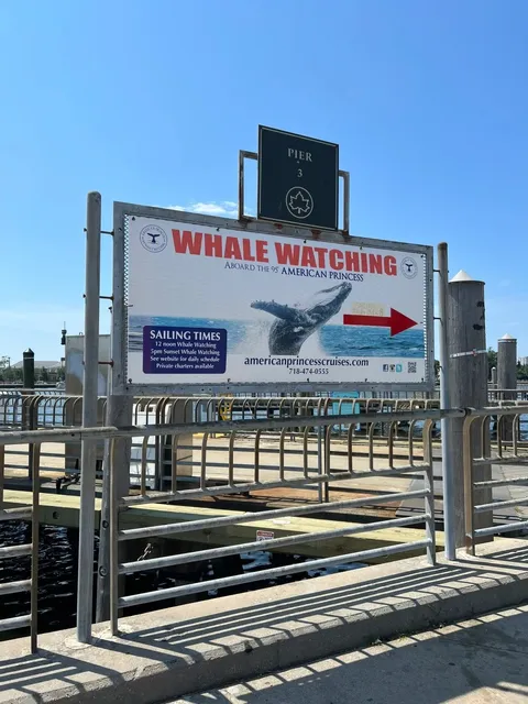 New York Whale Watching by Boat(2)