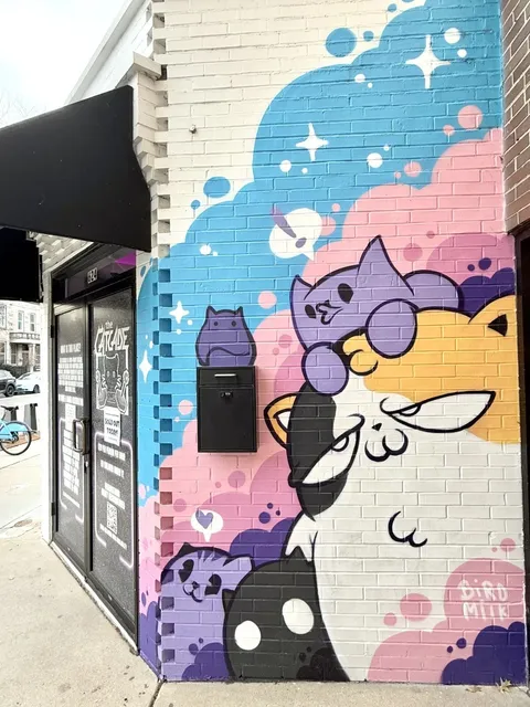 Chicago Cat Lover's Paradise 🐱 | Stumbled Upon The Catcade
