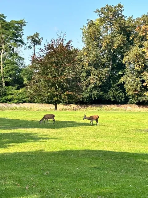 🇬🇧 A Week in Nottingham | New Beginnings & Little Joys