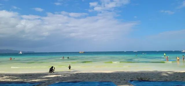 I Recommend Exoticca Miami to Everyone I Love! 🌎💙