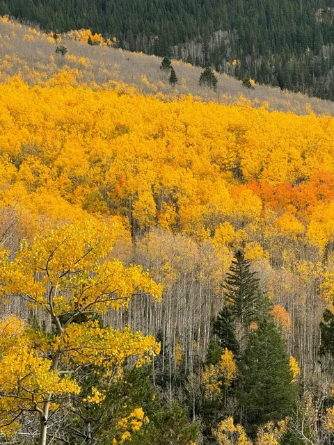 A Bountiful Autumn in Santa Fe 🍂✨
