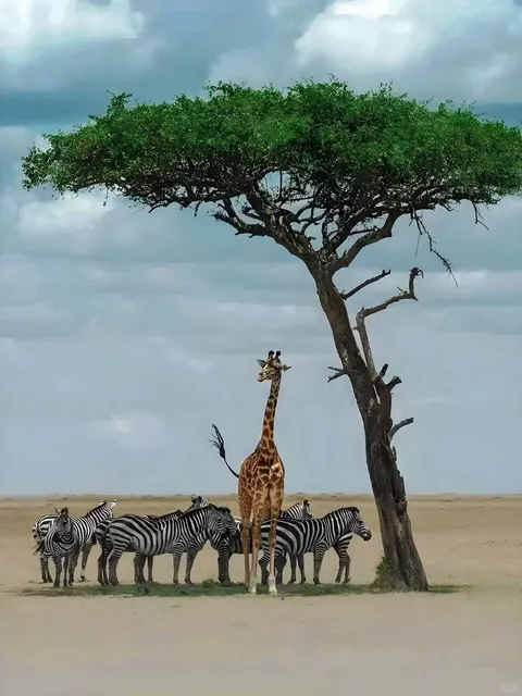 This is How to Explore South Africa 