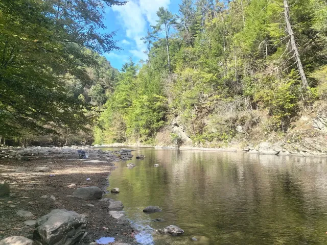 Great Smoky Mountains Road Trip Guide 🍁🚗