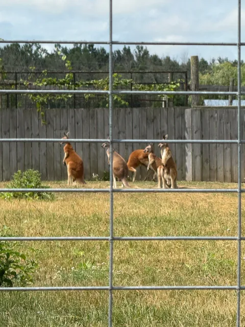  The Perfect Zoo for Little Ones Near Toronto 🦒​​