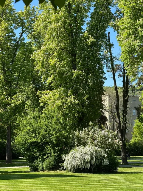 🇦🇹 Krems, Austria | Sip & Savor the Spring Breeze